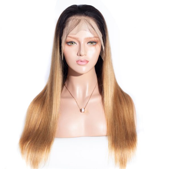 1b27 straight lace front wig