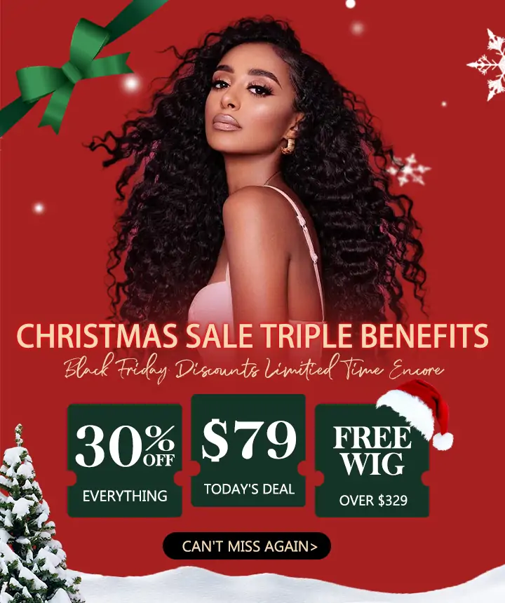 xmas sale $79 + free wig (1)