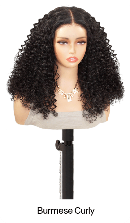 burmese curly